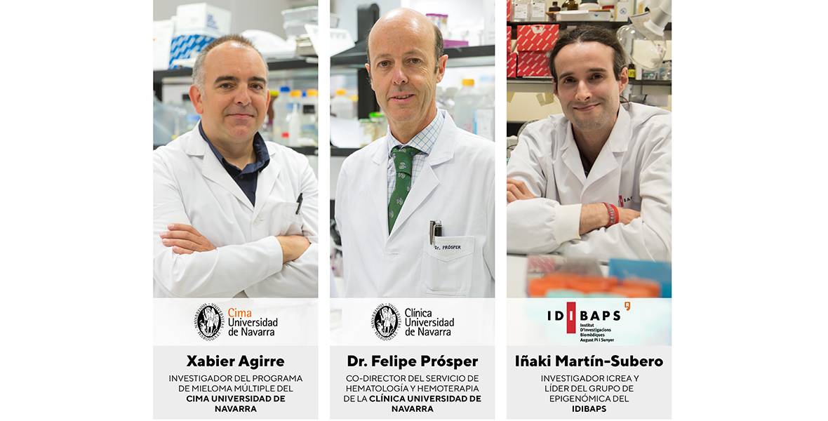 investigadores-descifran-epigenoma-mieloma-multiple