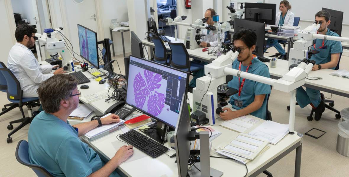 Imagen del laboratorio de Anatomía Patológica de la Clínica Universidad de Navarra.