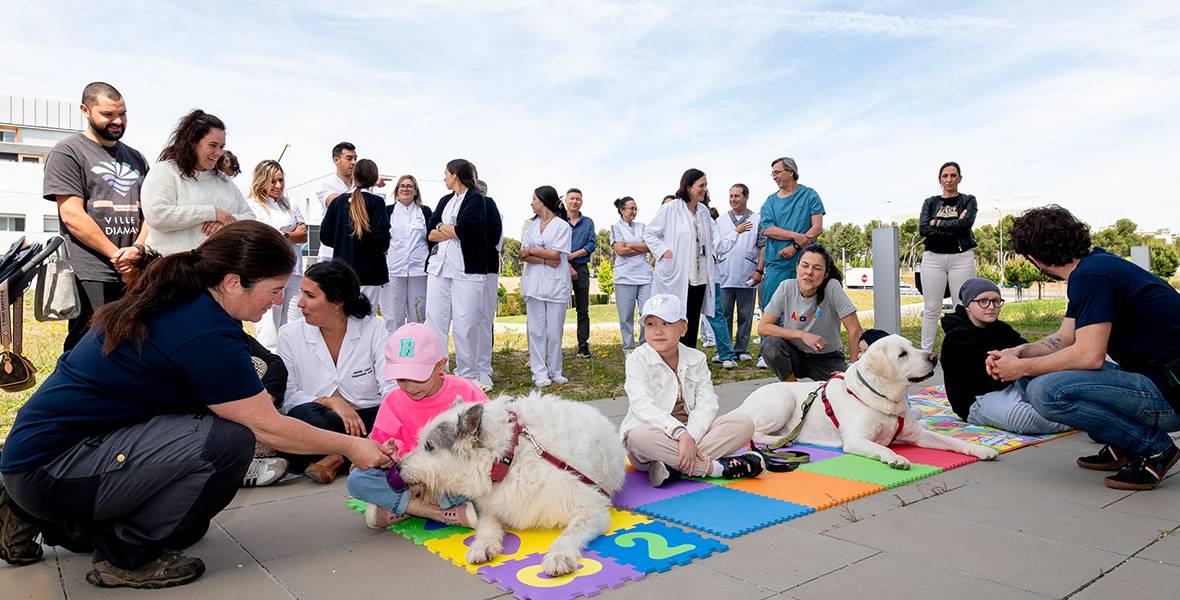 Sesión de perroterapia organizada por la Fundación Aladina y Perros Azules Pacientes y profesionales de la Unidad de Protonterapia del CCUN durante una sesión de perroterapia organizada por la Fundación Aladina y Perros Azules.