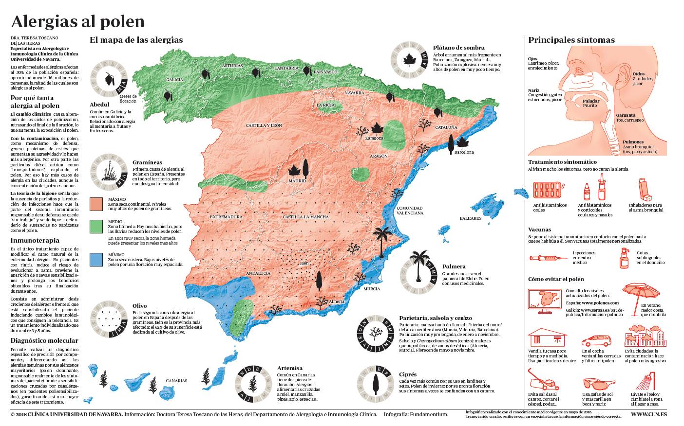 Infografía con toda la información sobre la alergia al polen