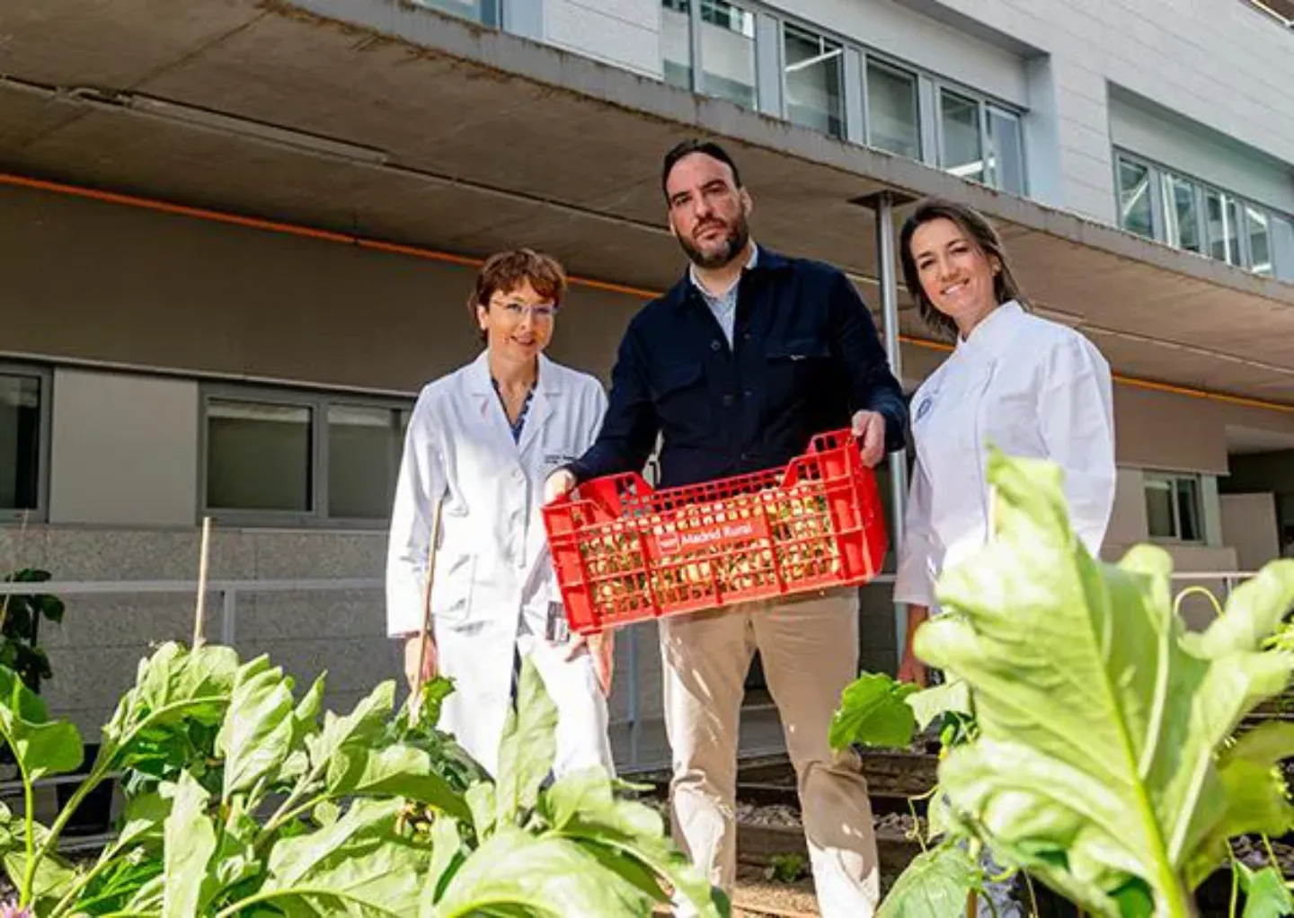 Huerto km 0. Sede de la Clínica Universidad de Navarra en Madrid Imagen de Madrid Rural, donando verduras a la sede de la Clínica Universidad de Navarra en Madrid