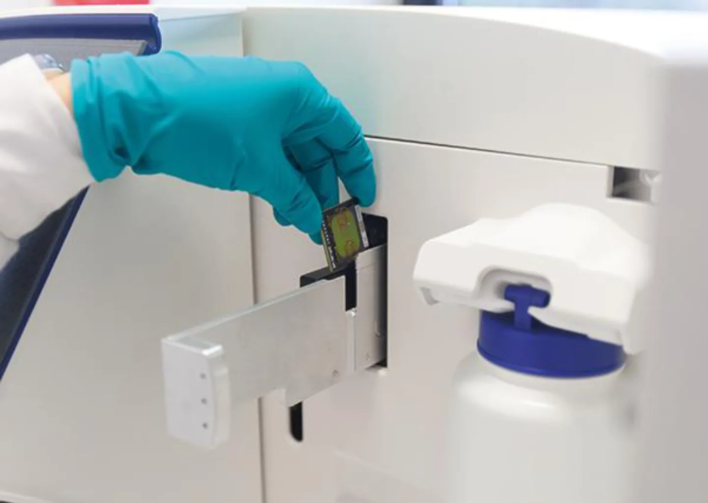 mutaciones-geneticas Muchos casos de cáncer están relacionados con una mayor predisposición a desarrollar la enfermedad por ser portador <br/>de mutaciones genéticas.