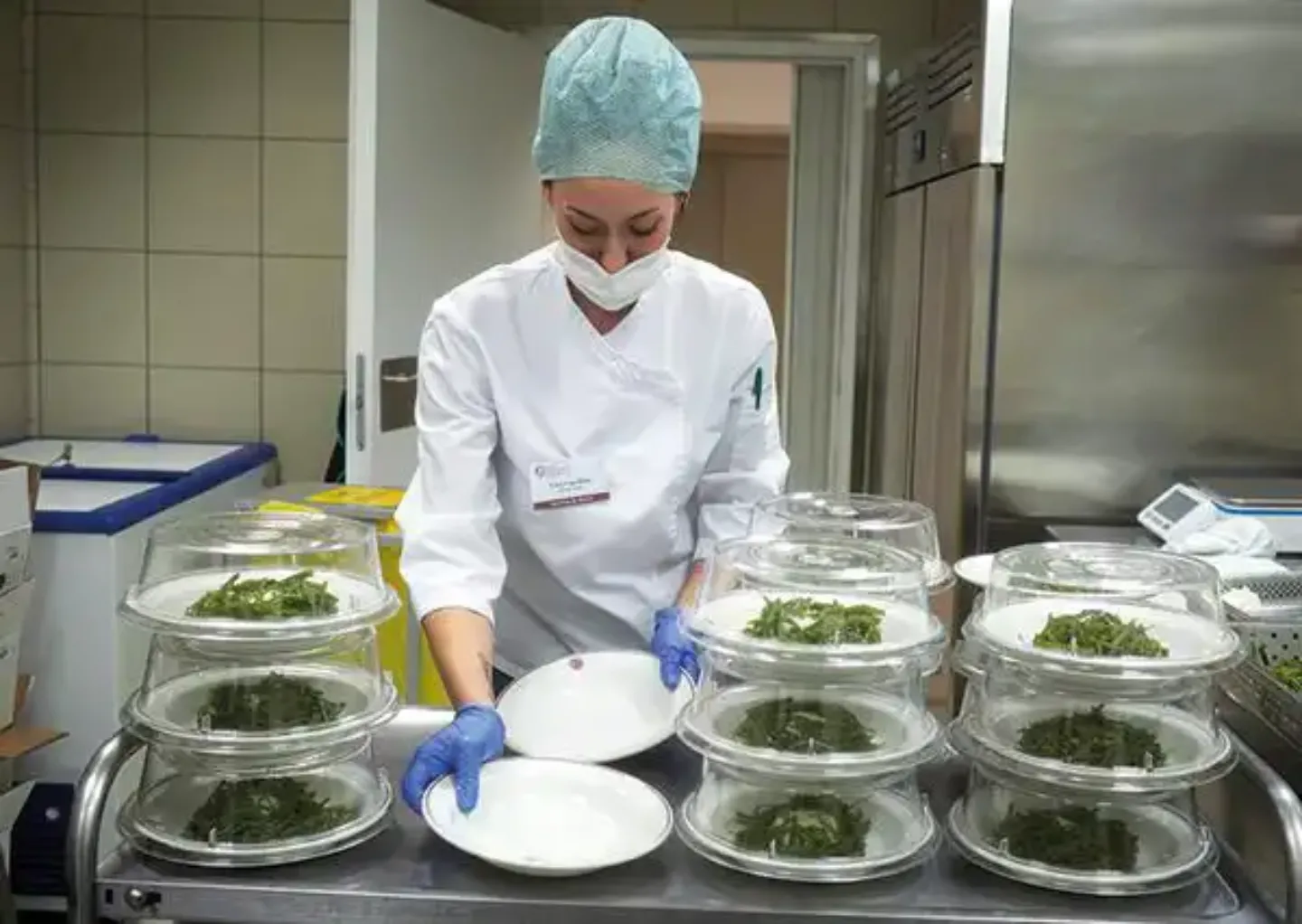 Atención al paciente. Servicio de Dietas Imagen que representa la atención al paciente mediante la preparación de las comidas en hospitalización por parte del Servicio de Dietas de la Clínica Universidad de Navarra.