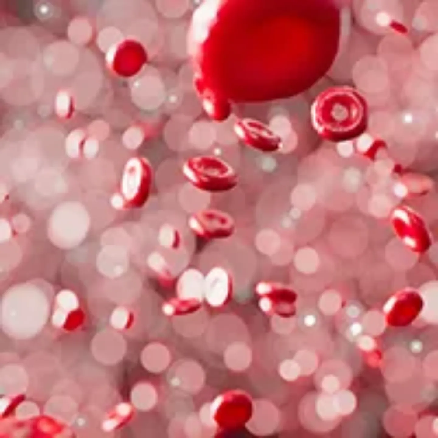 Imagen una muestra de sangre. Puesta al día en Hematología 48 h. Clínica Universidad de Navarra