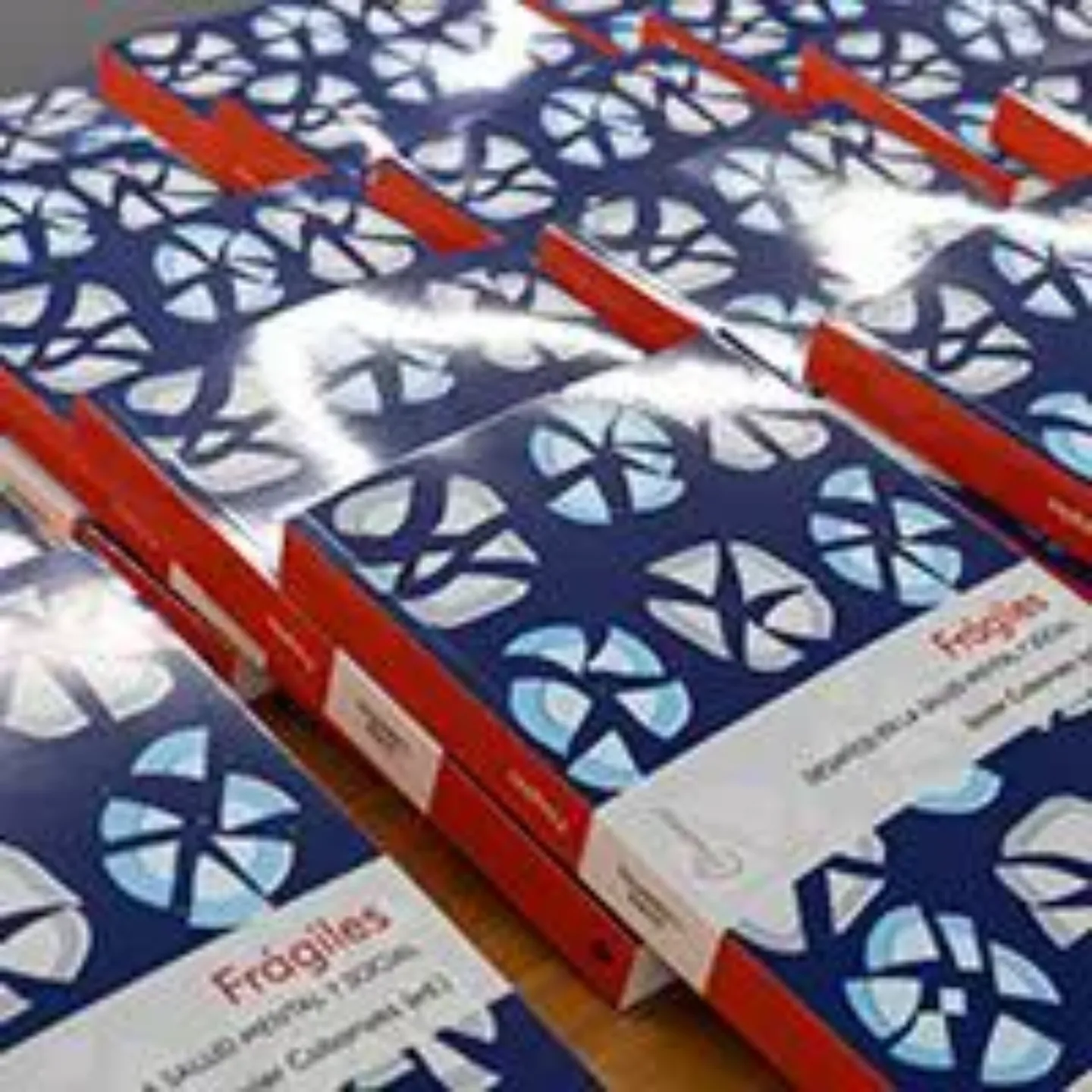 Imagen del CUN HealthyForum, charla sobre la salud mental y presentación del libro Frágiles. Clínica Universidad de Navarra