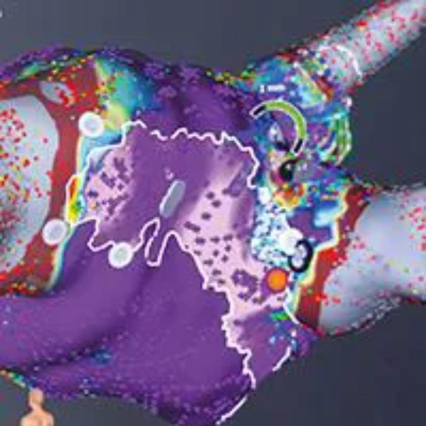 Imagen de una imagen del corazón, en la Unidad de Arritmias de la Clínica Universidad de Navarra