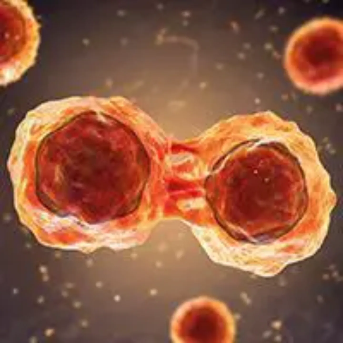 Ilustración de dos células para un reportaje sobre el CART y el mieloma