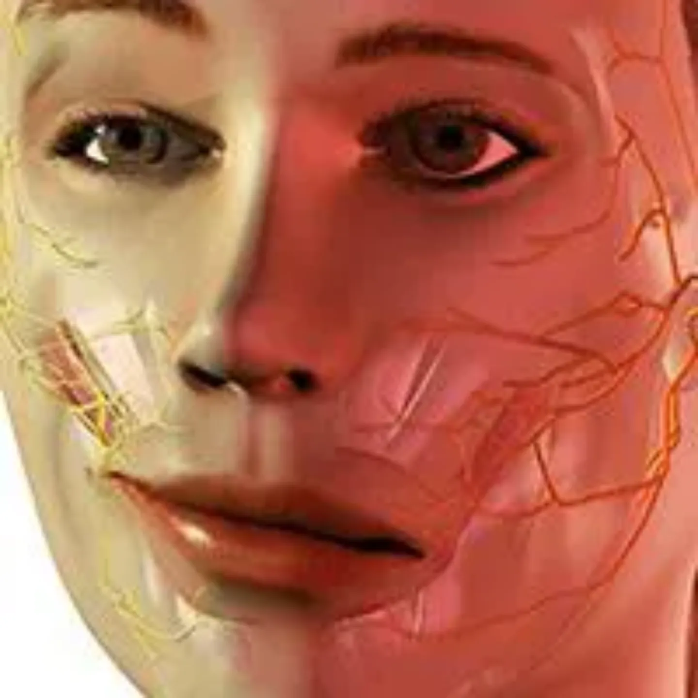 Imagen 3D de una cara con parálisis facial. Tratamiento de vanguardia en la Clínica Universidad de Navarra.