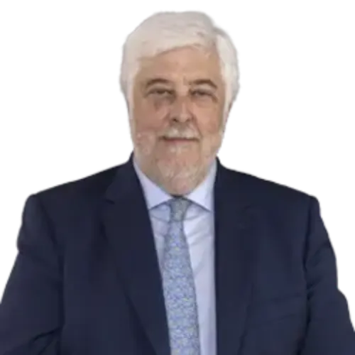 Imagen de la silueta Dr. Andrés Íñiguez, presidente de la Fundación Española del Corazón