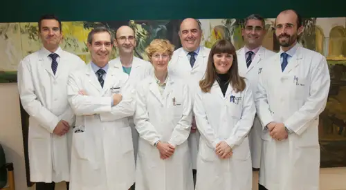 equipo-investigador-estudio-obesos-metabolicamente-sanos <p>Imagen del equipo investigador de la Unidad de Obesidad de la Clínica Universidad de Navarra</p>