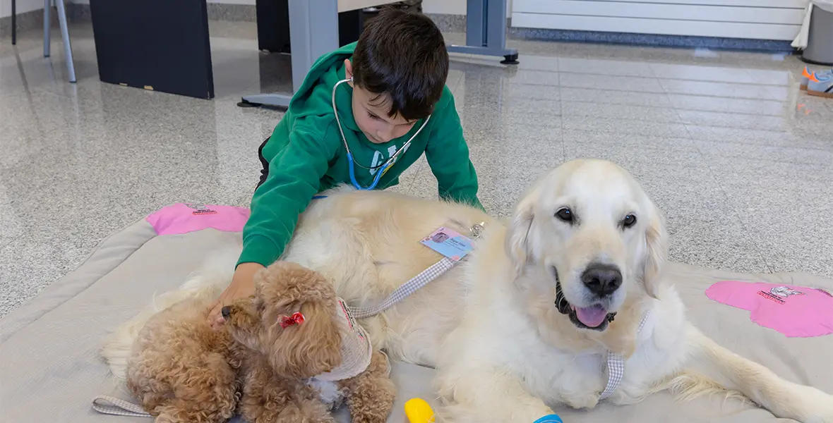 Sesión de perroterapia en la Clínica Universidad de Navarra Un niño interactúa con un perro en una sesión de perroterapia en la Clínica Universidad de Navarra