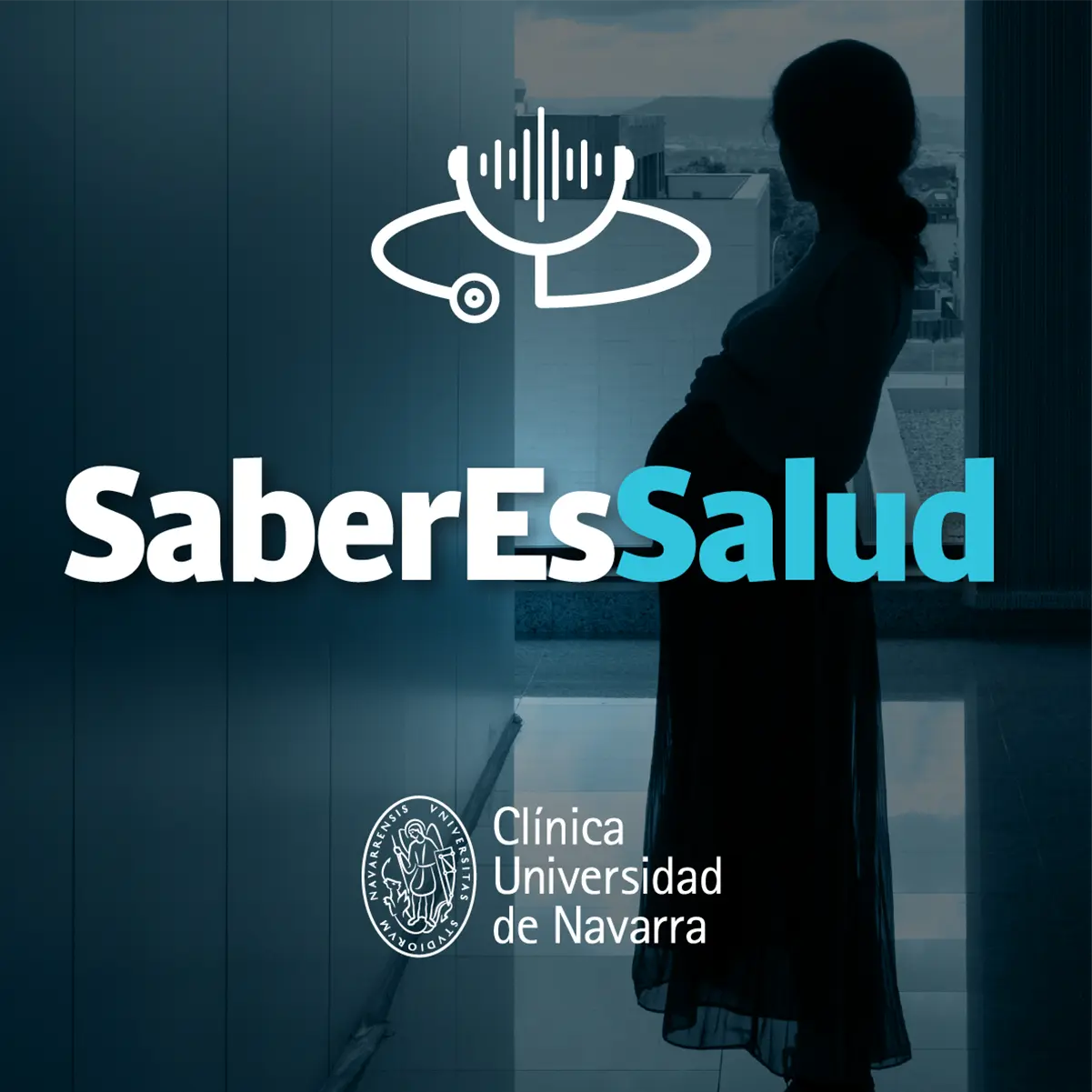 El segundo trimestre del embarazo