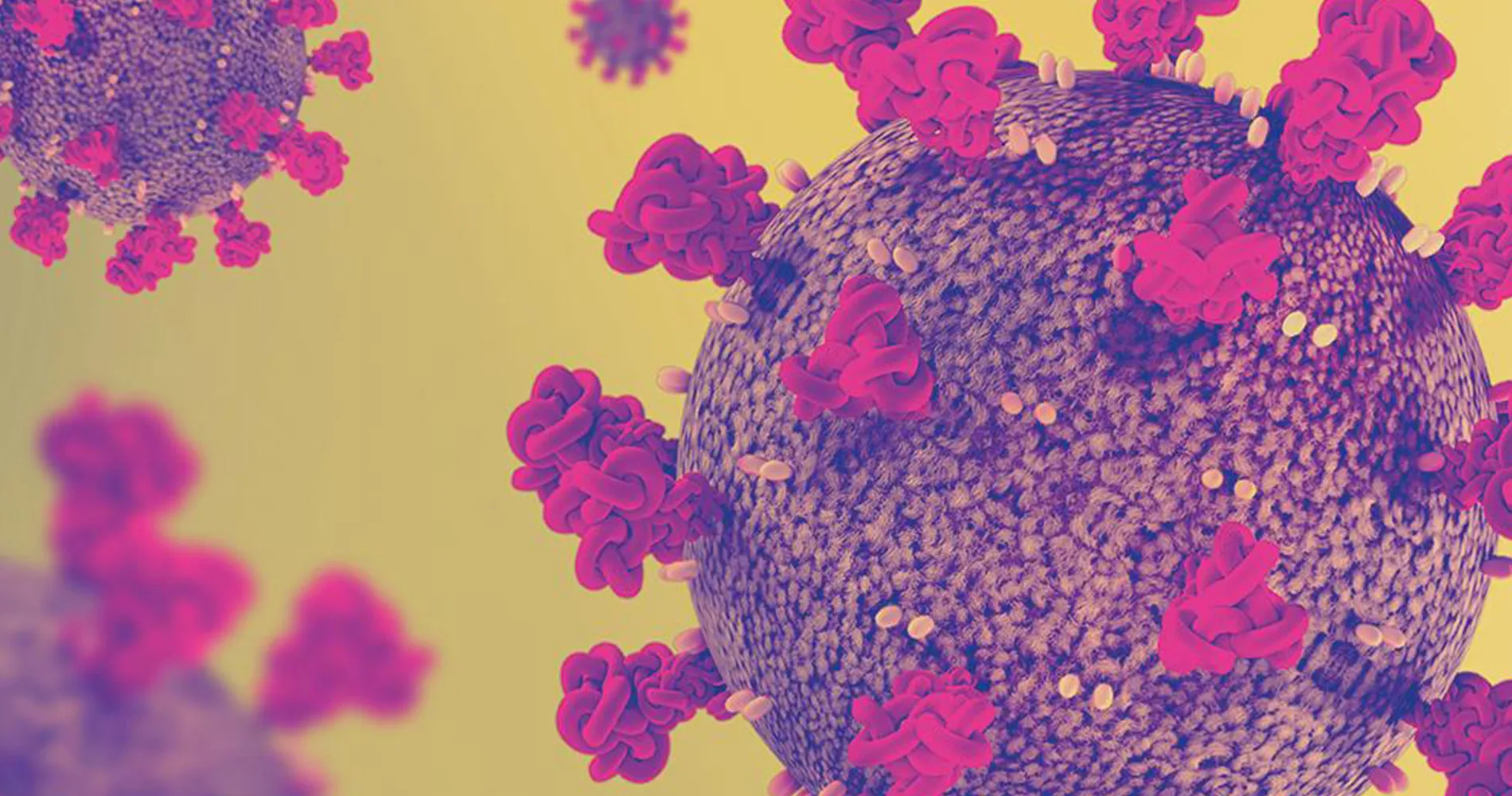 Virus Oncolíticos para el cáncer. Clínica Universidad de Navarra Imagen de virus oncolítico para cáncer epidermoide de piel. Clínica Universidad de Navarra